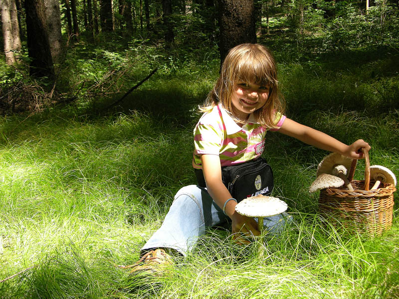 Ritrovamenti del 19 luglio.